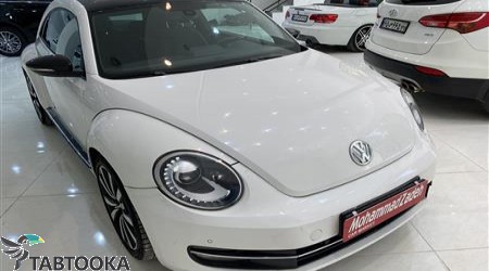 فولکس بیتل‏ | 2013