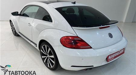 فولکس بیتل‏ | 2013