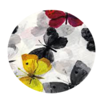 لباس کودک پروانه ها